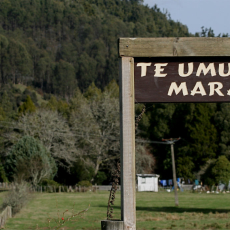 Te Umuroa Marae Road Sign